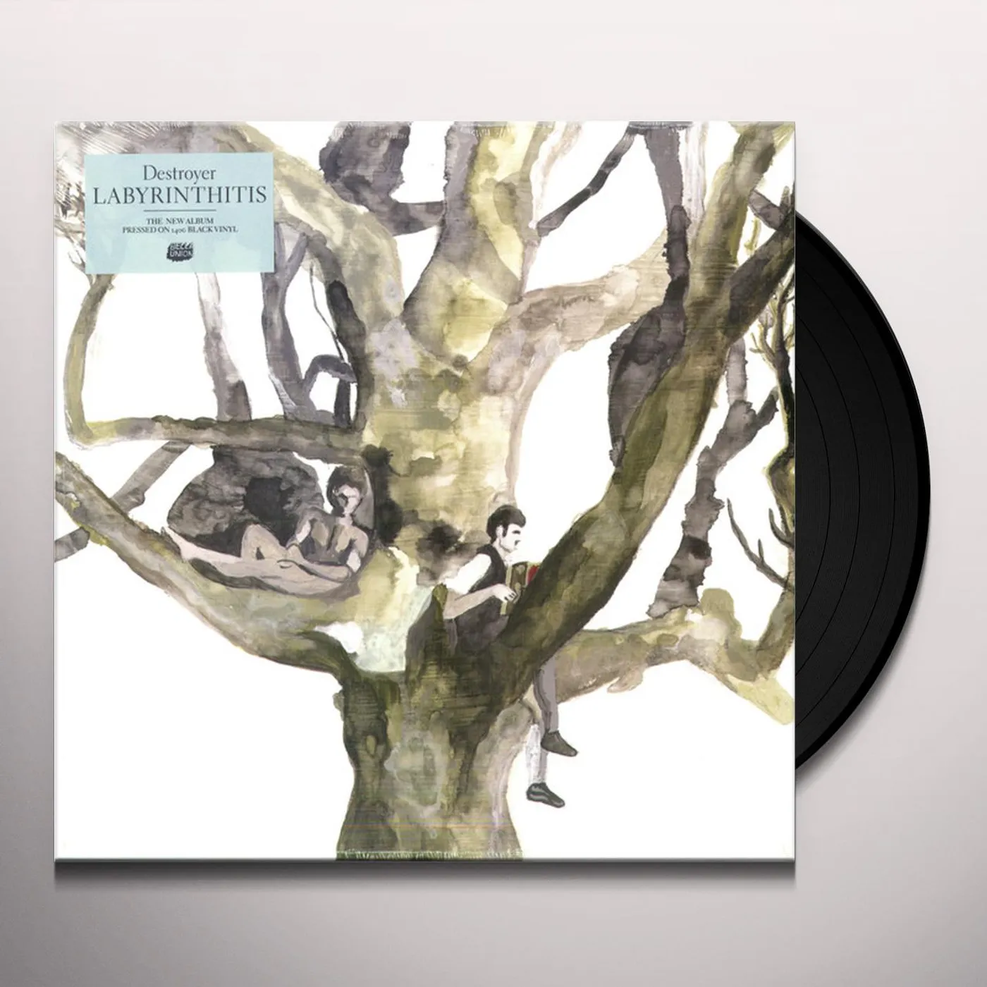 Destroyer LABYRINTHITIS Vinyl Record