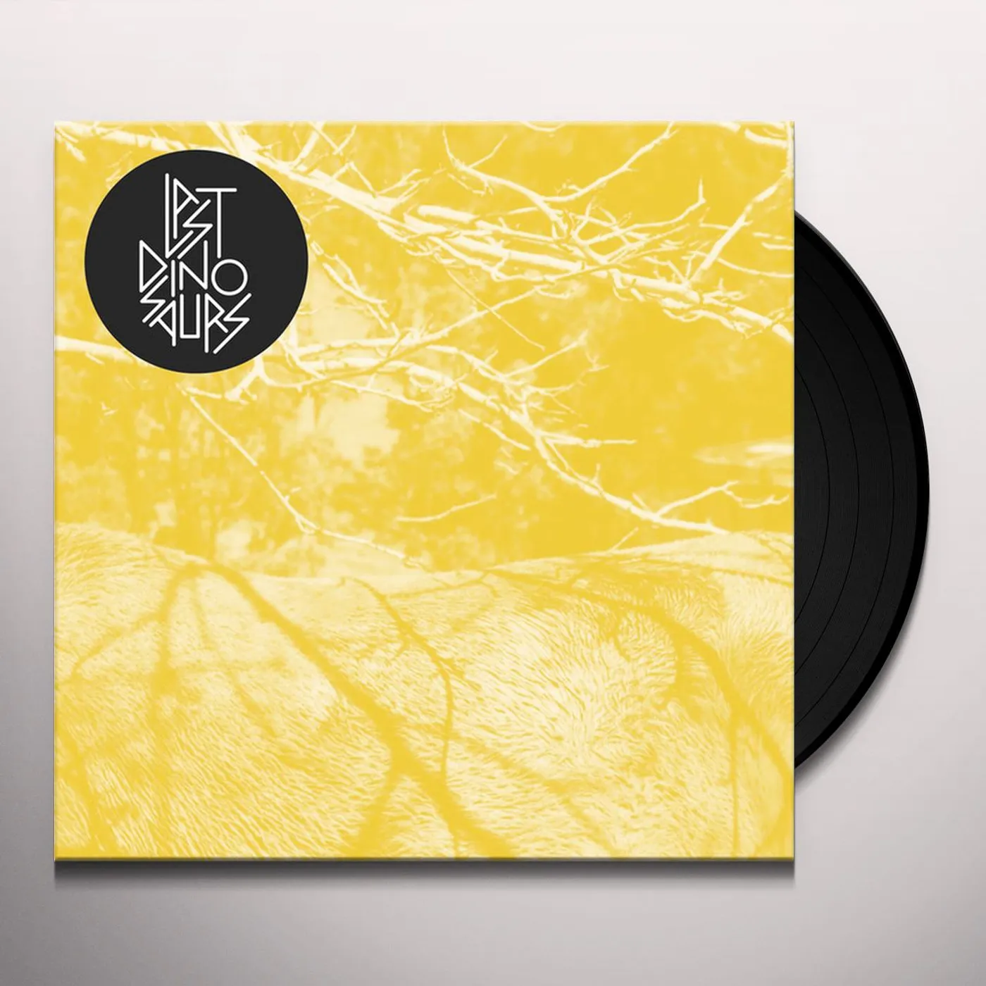 Last Dinosaurs Time & Place Vinyl Record