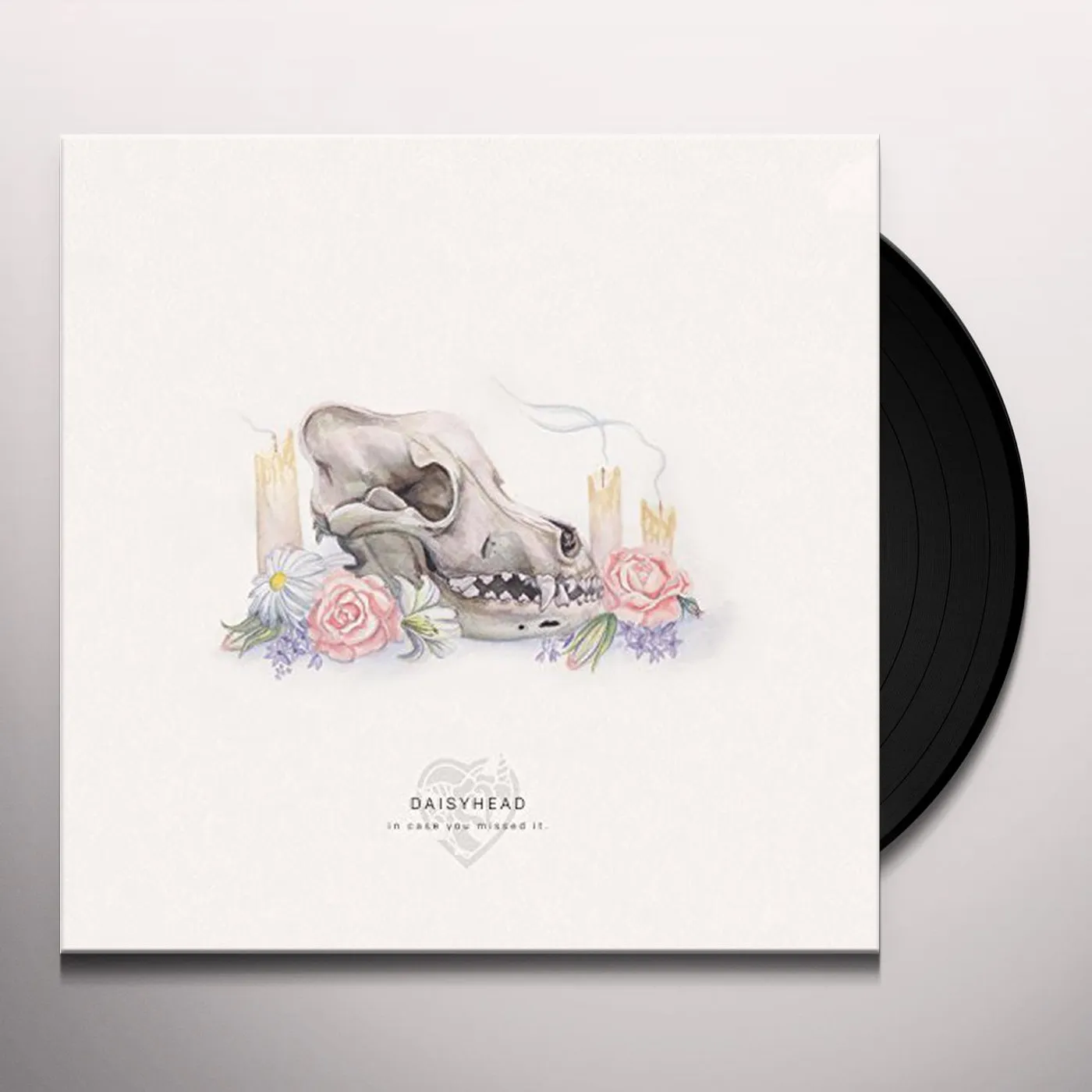 Daisyhead In Case You Missed It Vinyl Record