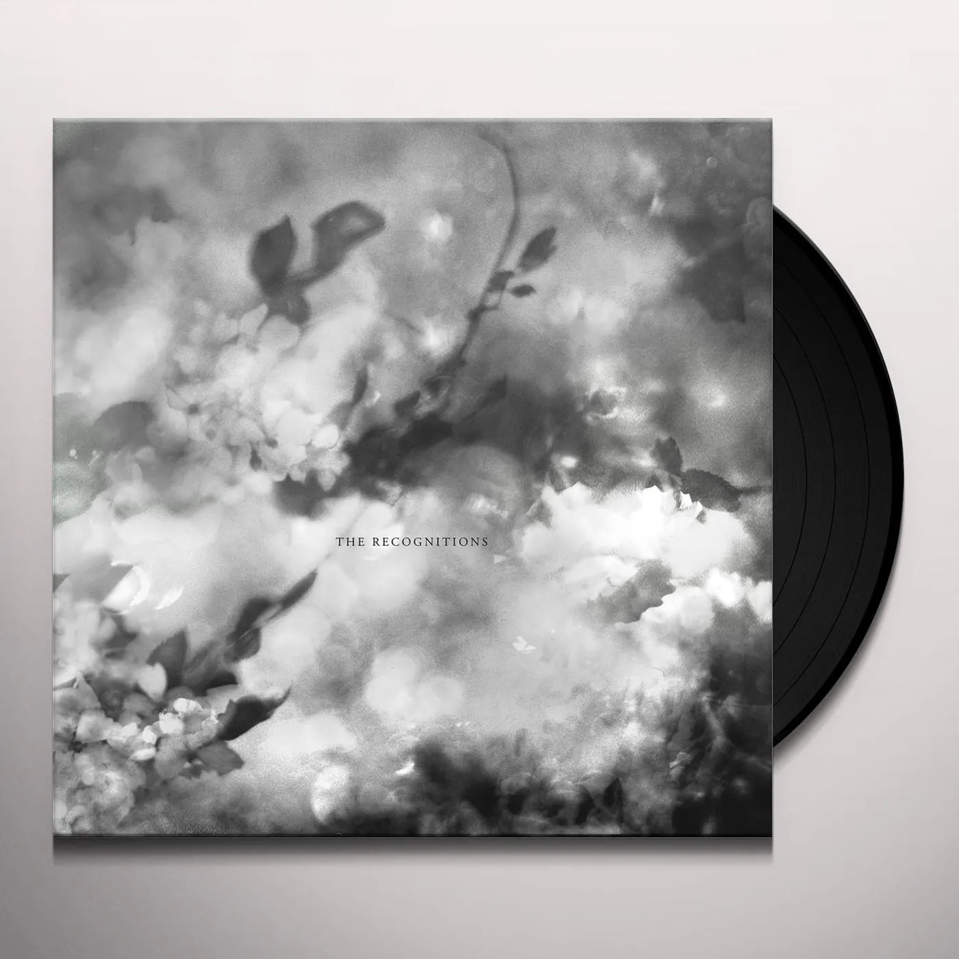 Exitmusic RECOGNITIONS Vinyl Record