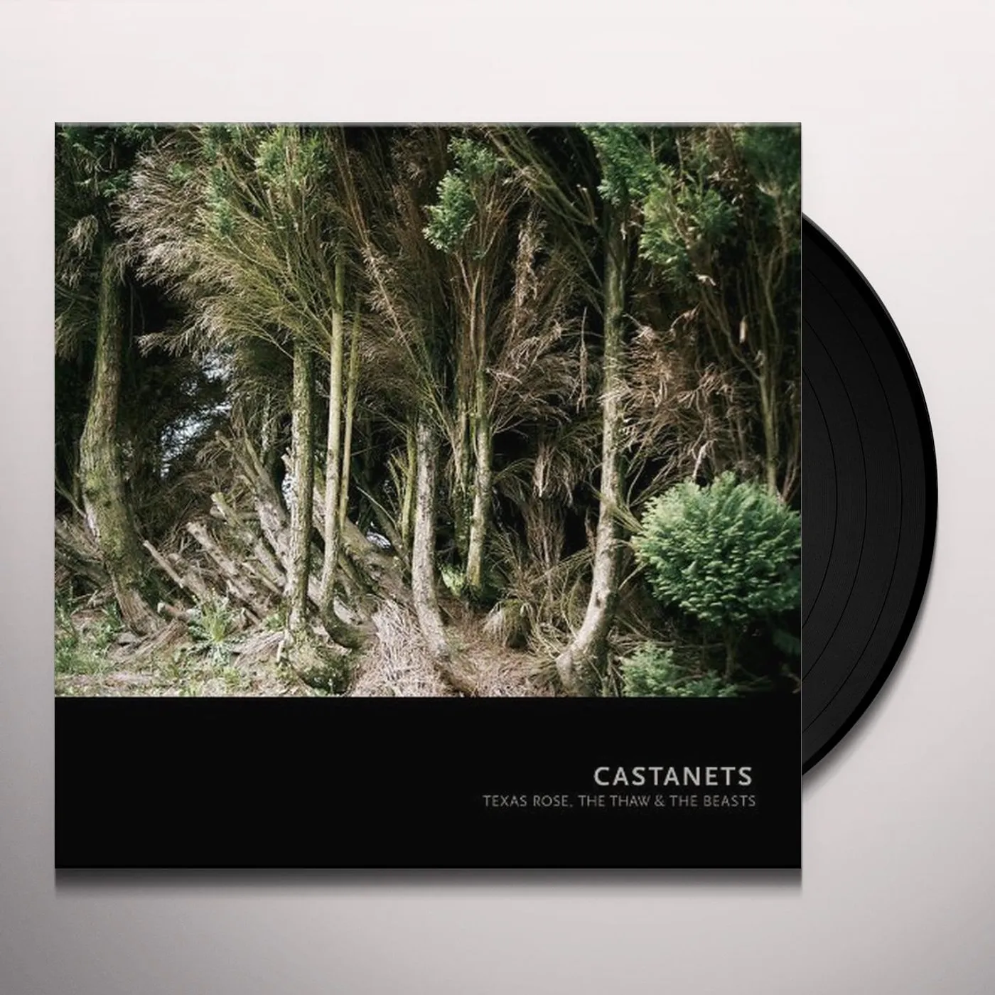 Castanets TEXAS ROSE: THE THAW & THE BEAST Vinyl Record