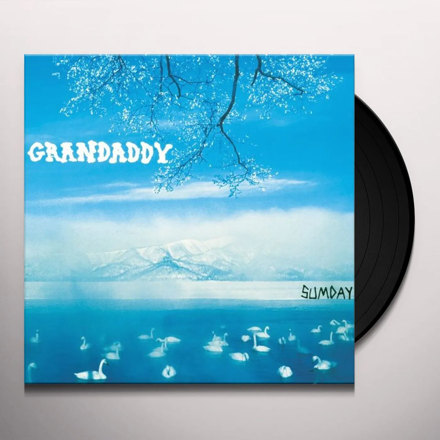 Grandaddy Sumday Vinyl Record
