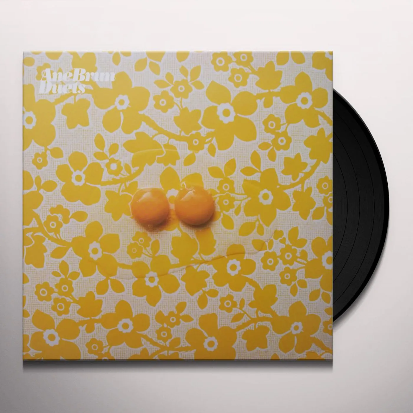 Ane Brun DUETS Vinyl Record