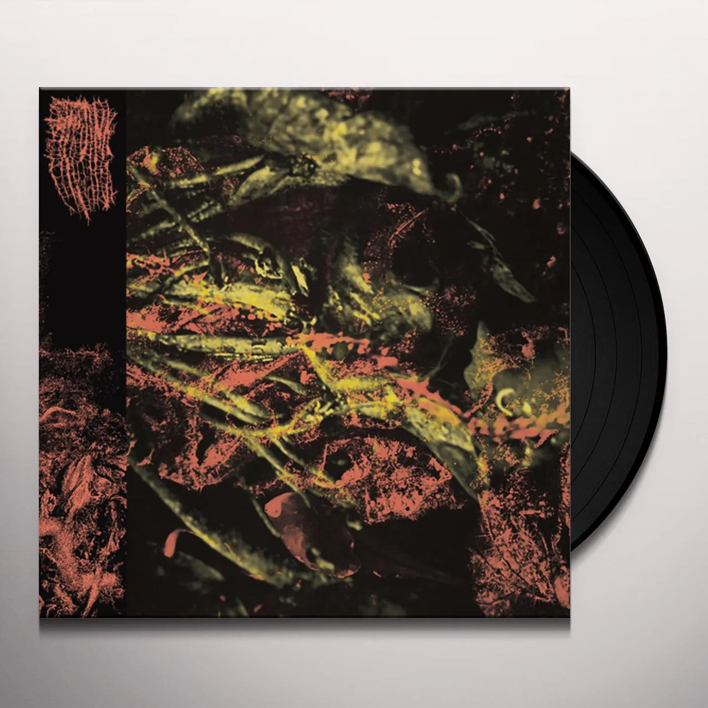 Hissing Permanent Destitution Vinyl Record