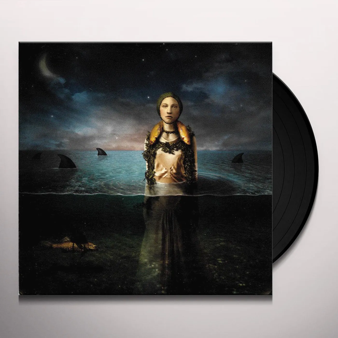 The Bled Found In The Flood Vinyl Record