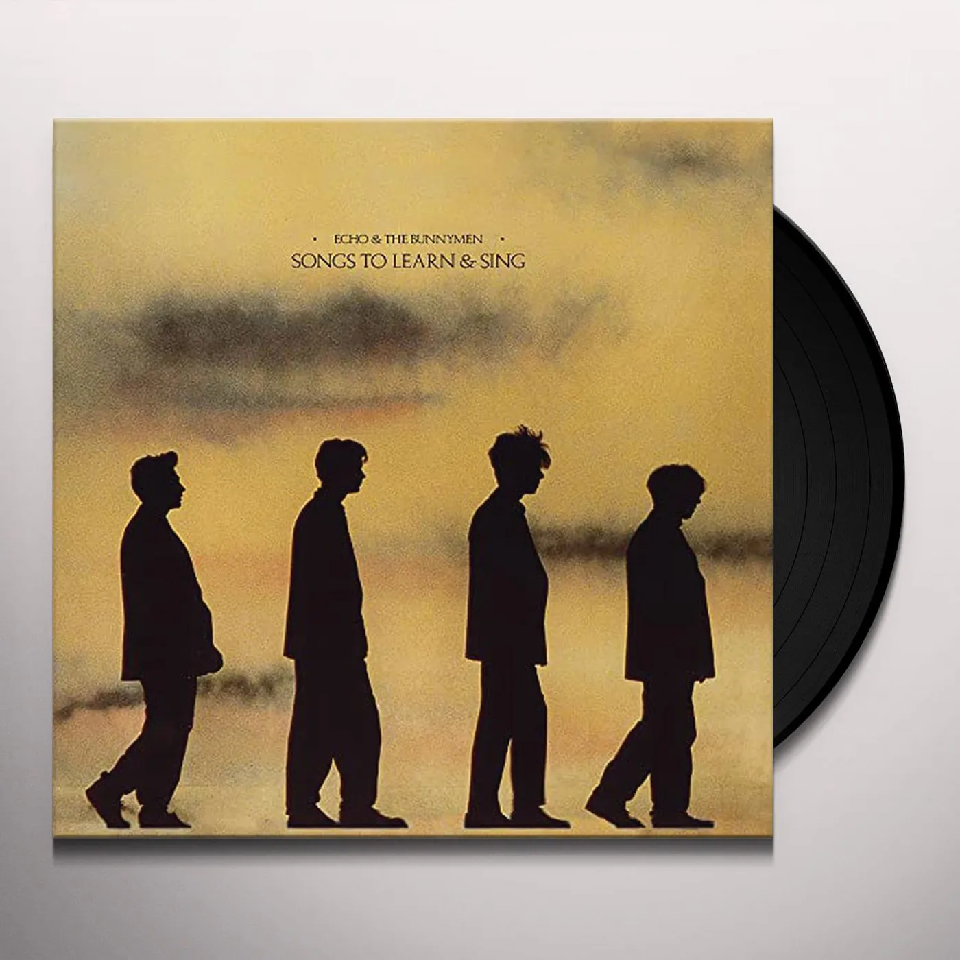 Echo & the Bunnymen Songs to Learn & Sing (2022) Vinyl Record