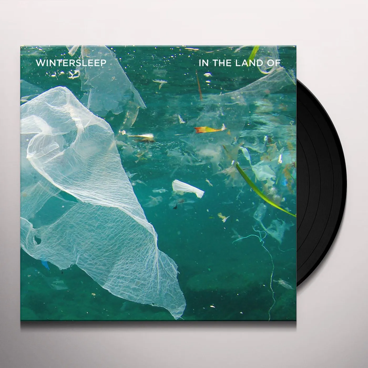 Wintersleep In The Land Of Vinyl Record