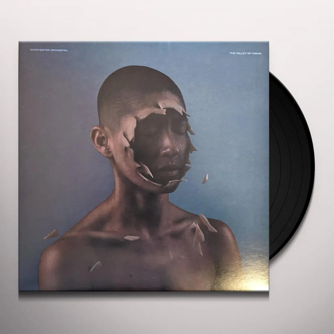 Manchester Orchestra Valley Of Vision Vinyl Record