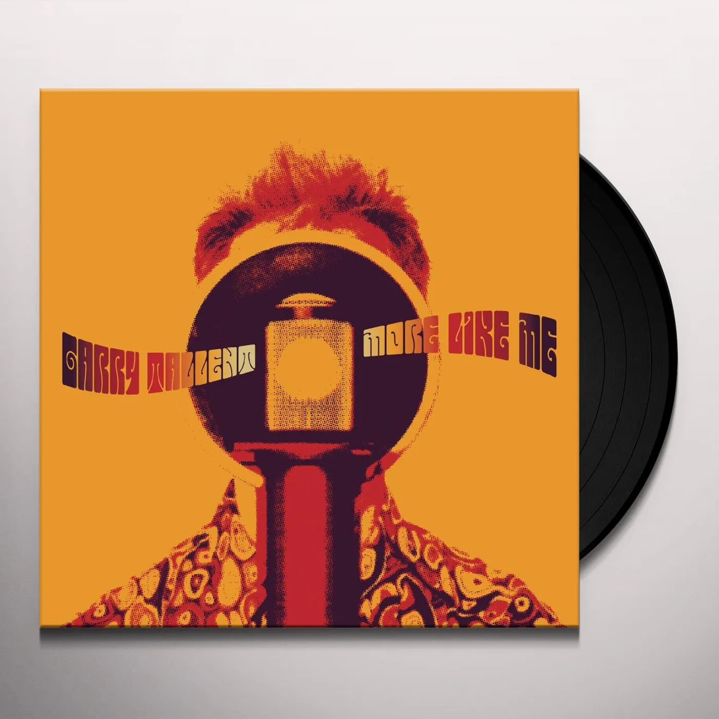 Garry Tallent More Like Me Vinyl Record
