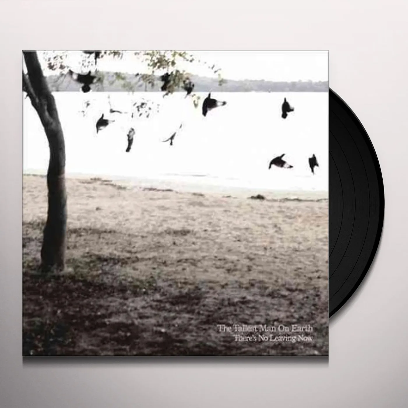 The Tallest Man On Earth There's No Leaving Now Vinyl Record