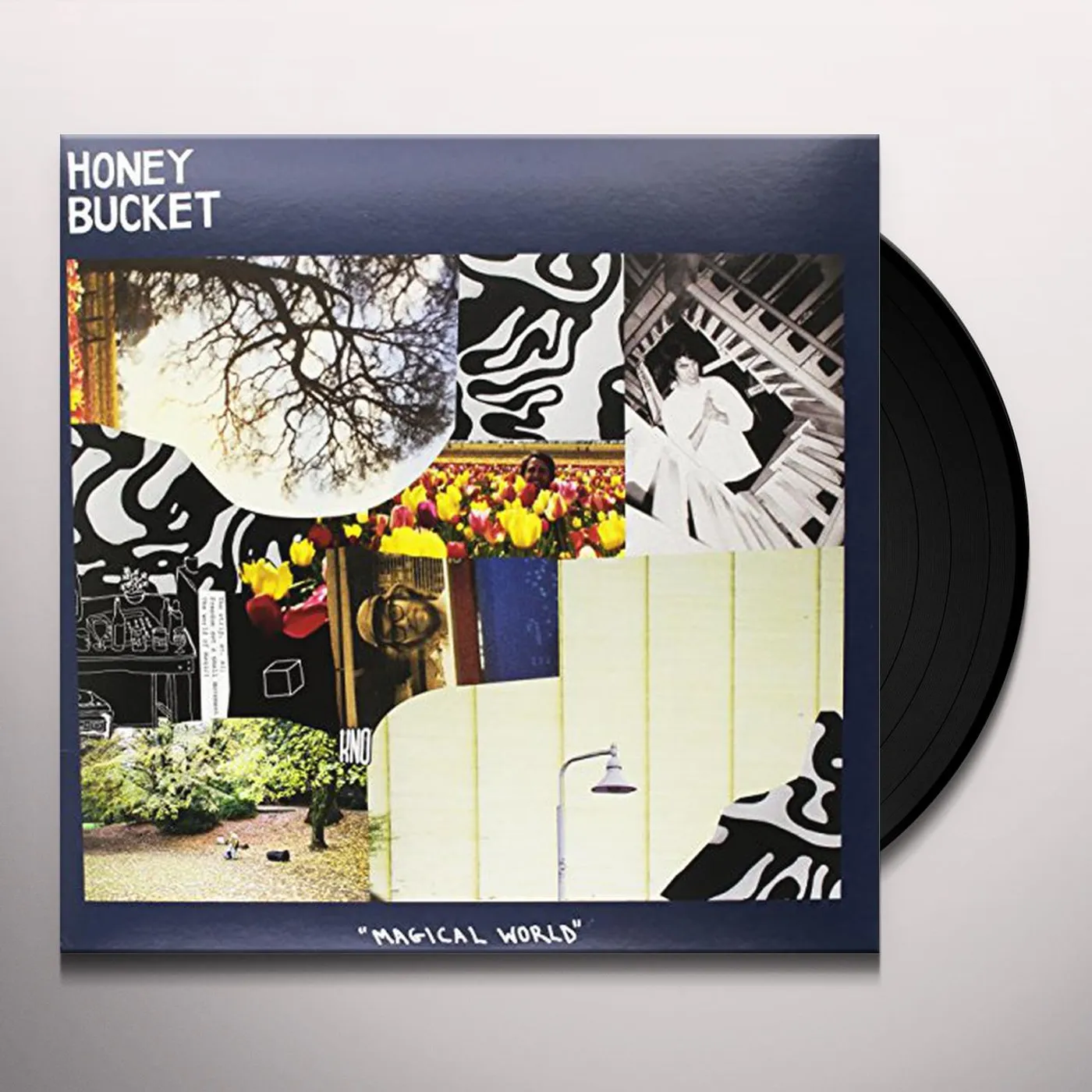 Honey Bucket Magical World Vinyl Record