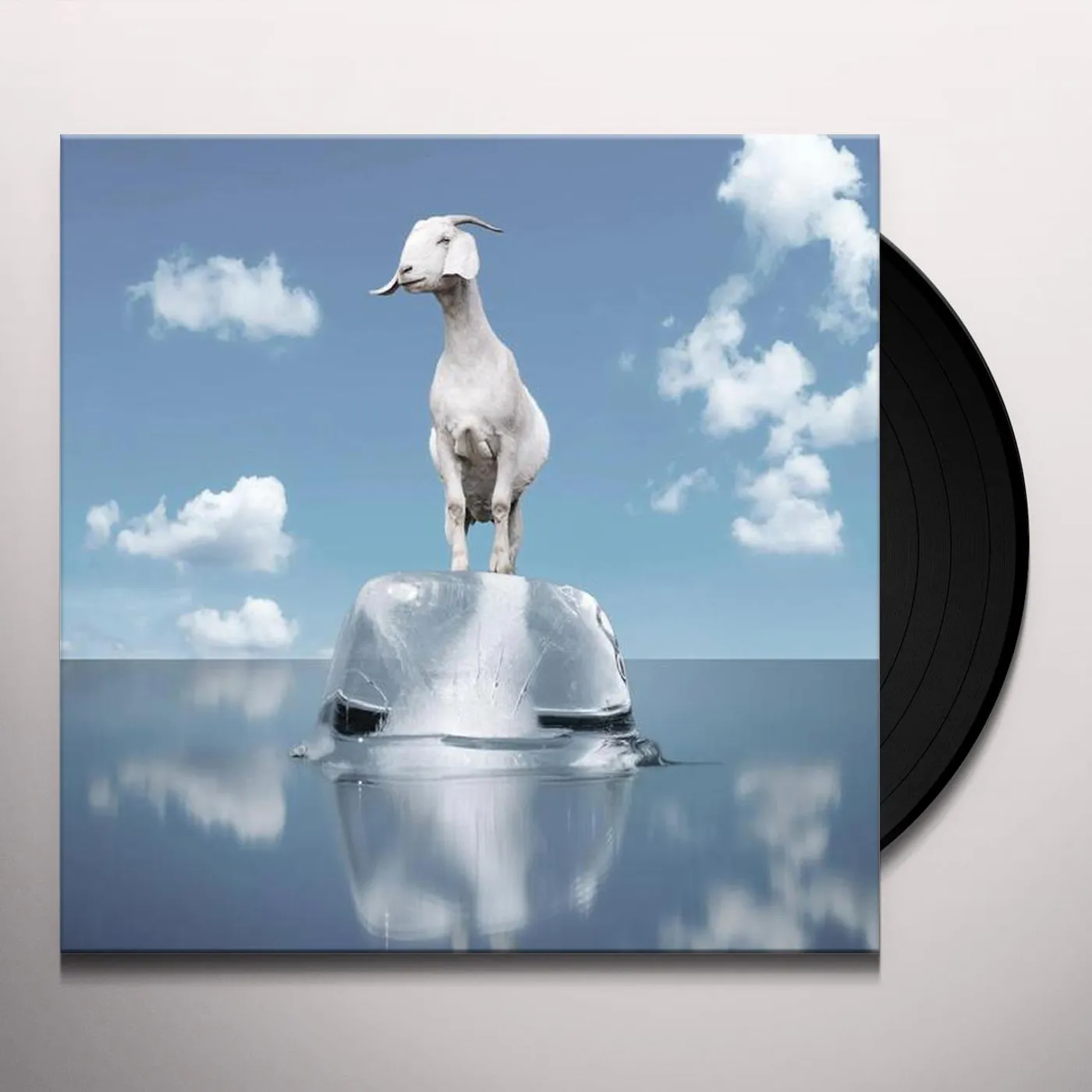 Perpetual Groove Vinyl Record