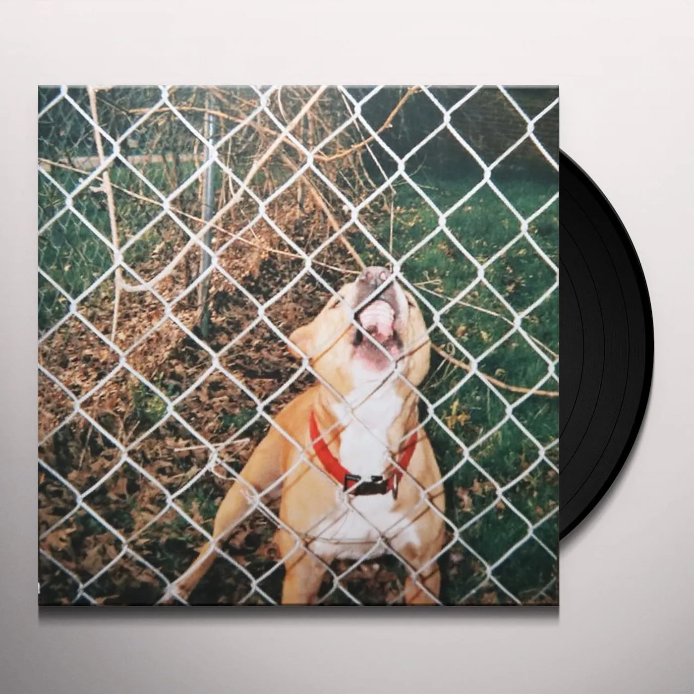 Knocked Loose Pop Culture Vinyl Record