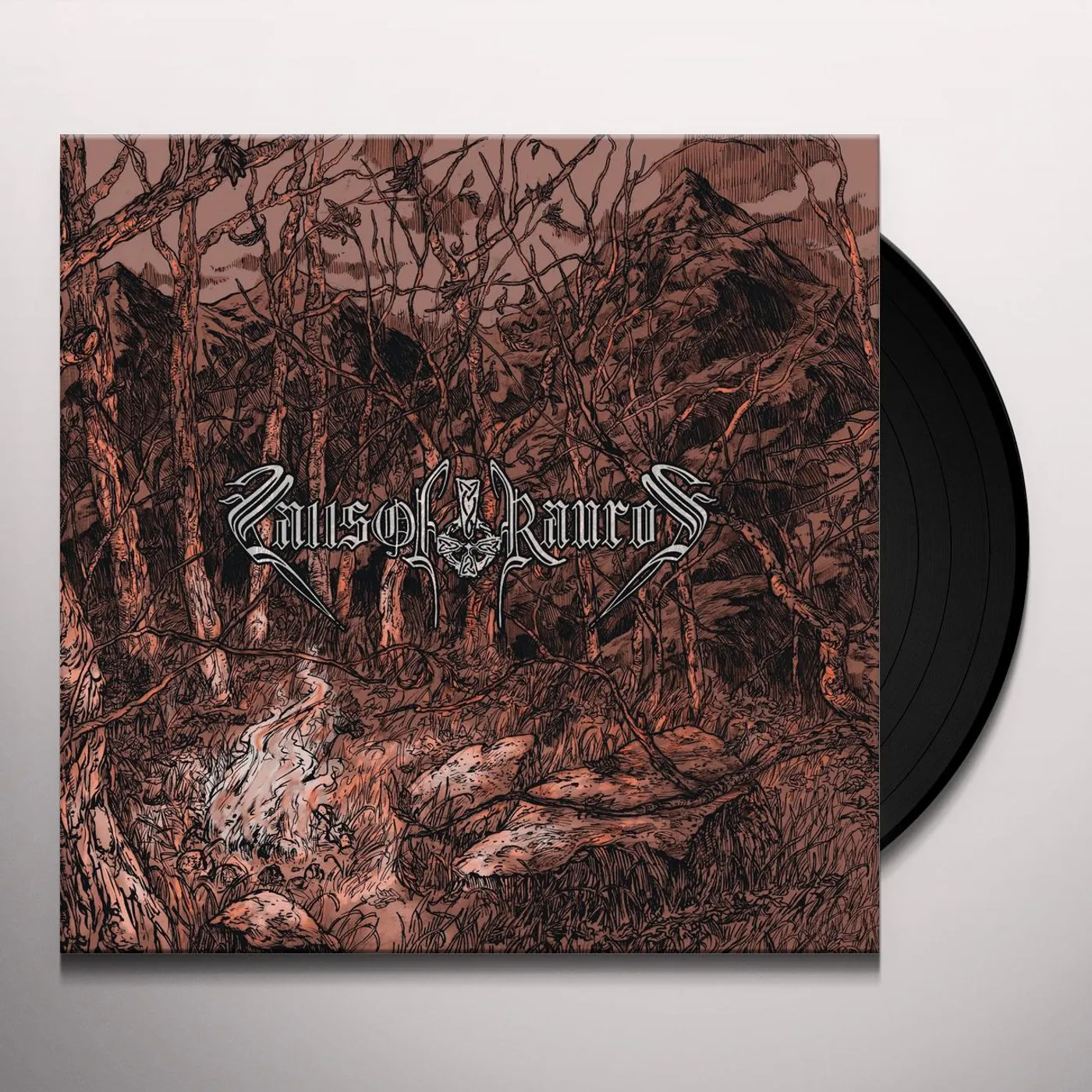 Falls of Rauros Hail Wind and Hewn Oak Vinyl Record