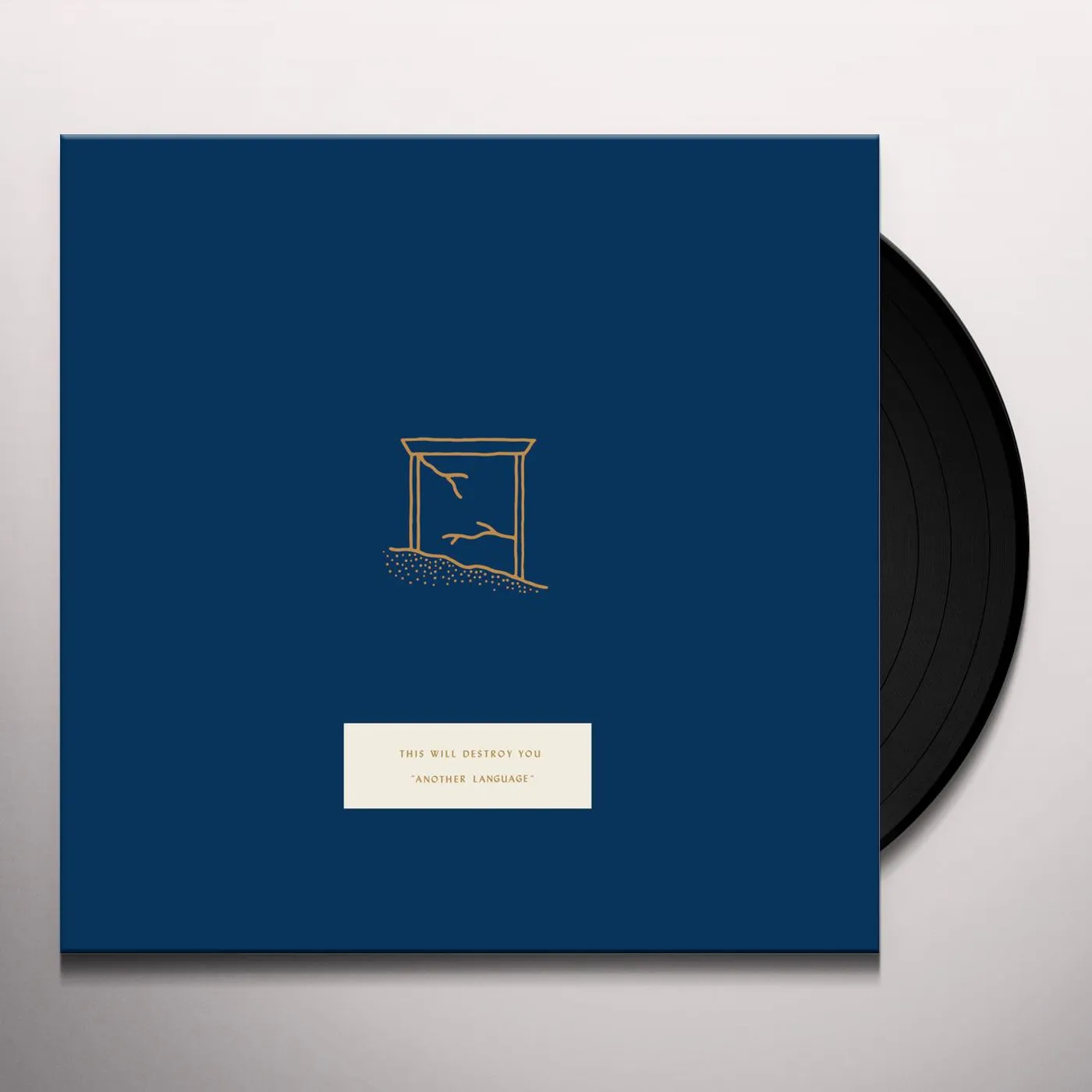 This Will Destroy You ANOTHER LANGUAGE Vinyl Record