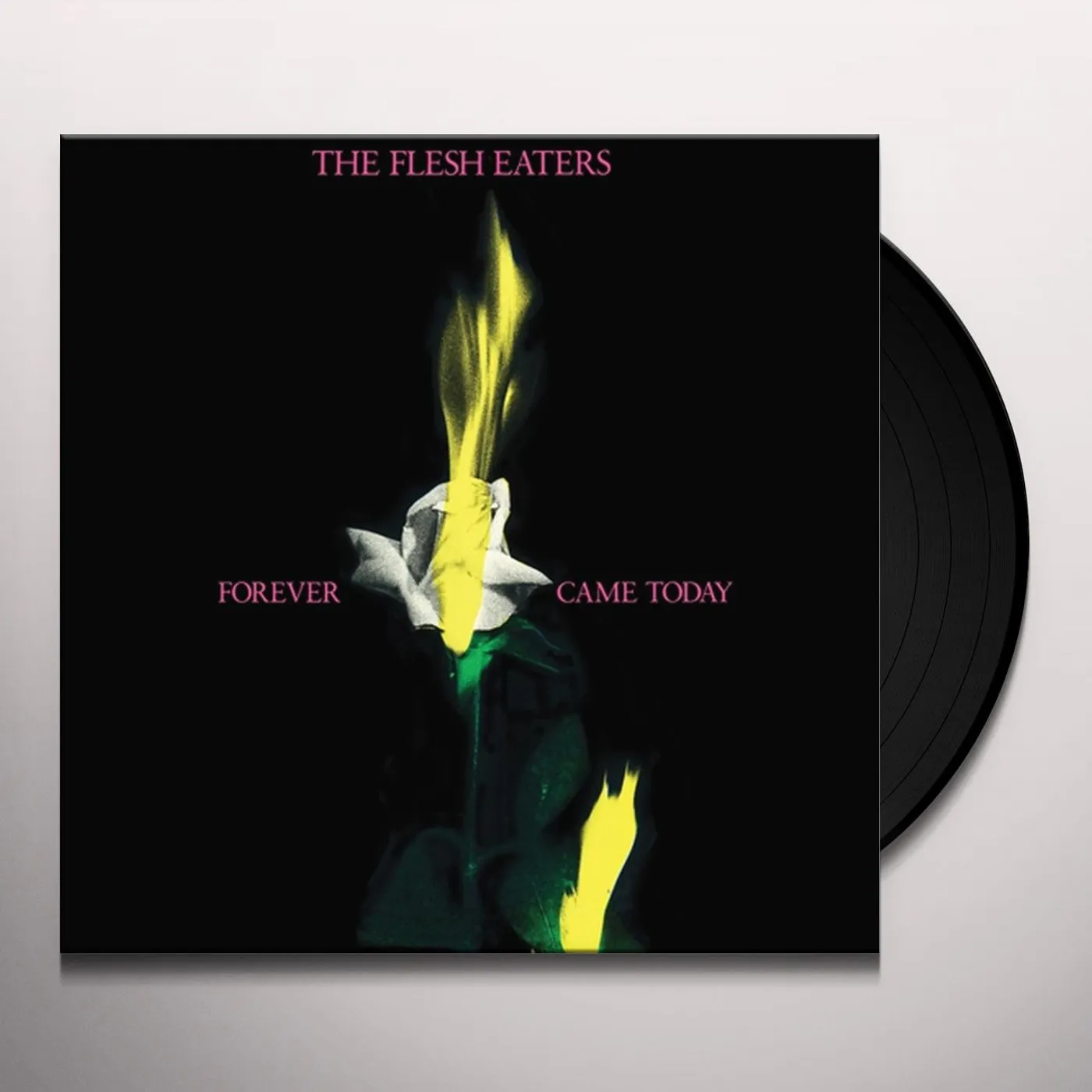 The Flesh Eaters Forever Came Today Vinyl Record