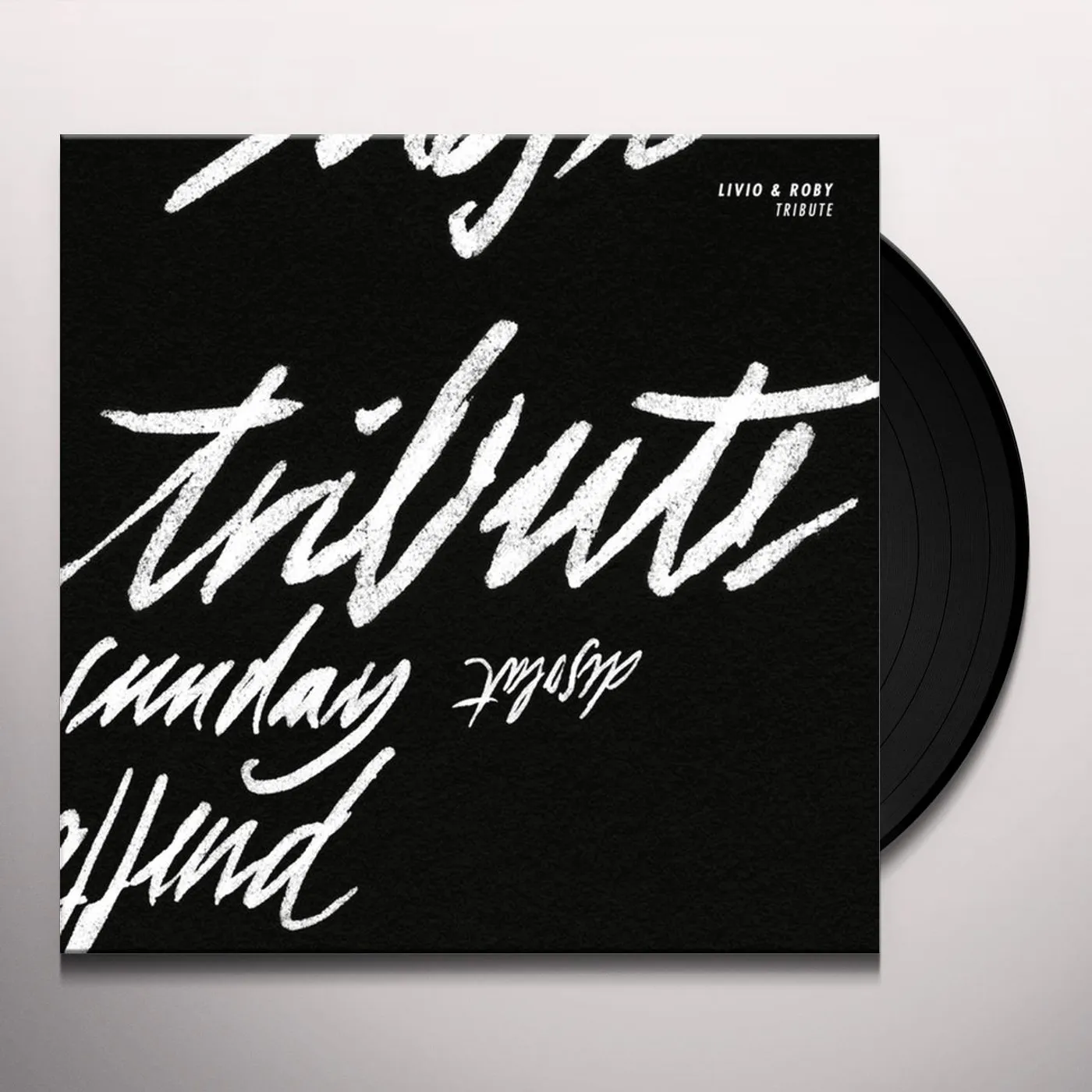 Livio & Roby Tribute Vinyl Record