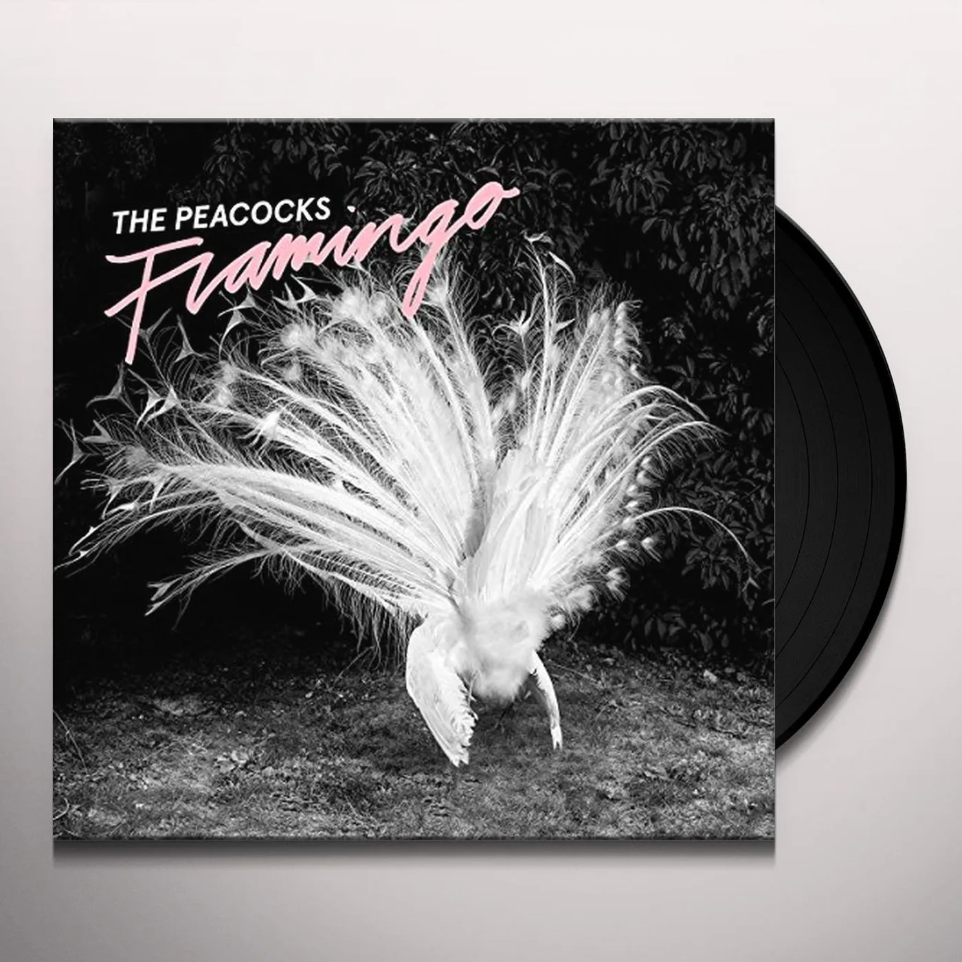 The Peacocks Flamingo Vinyl Record