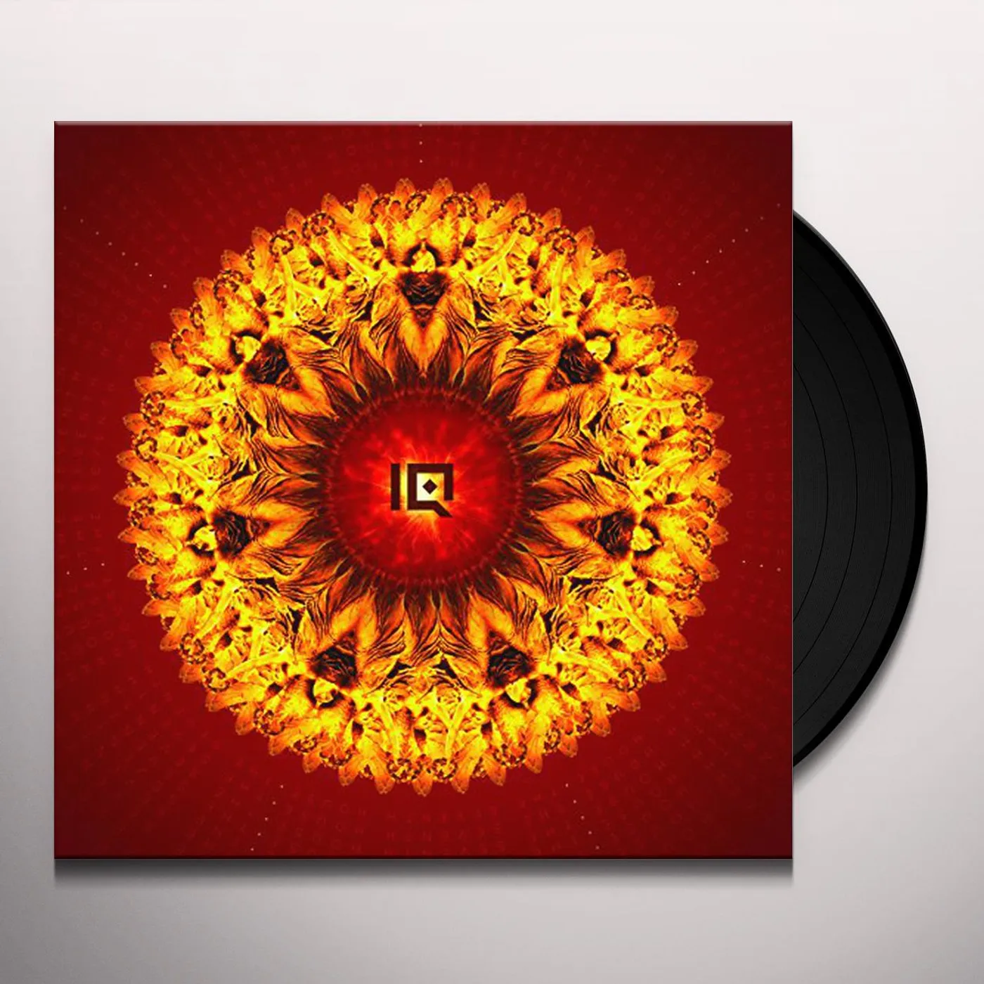IQ SEVENTH HOUSE Vinyl Record