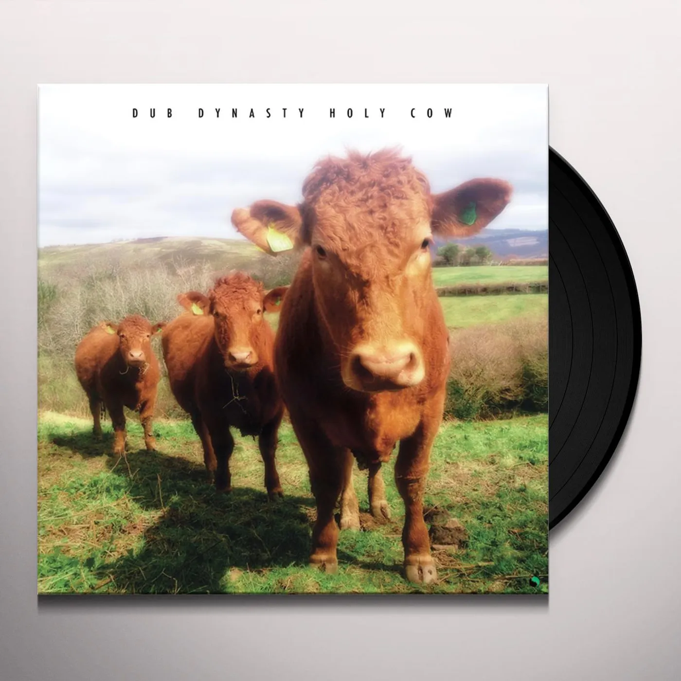 Dub Dynasty Holy Cow Vinyl Record