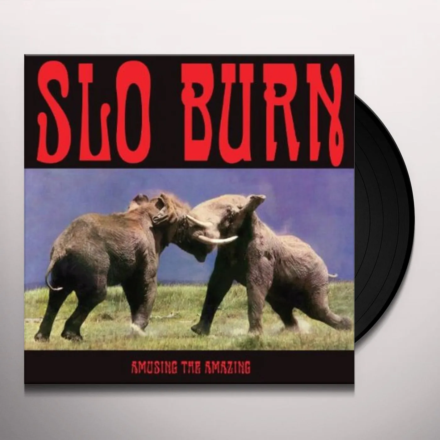 Slo Burn Amusing The Amazing Vinyl Record