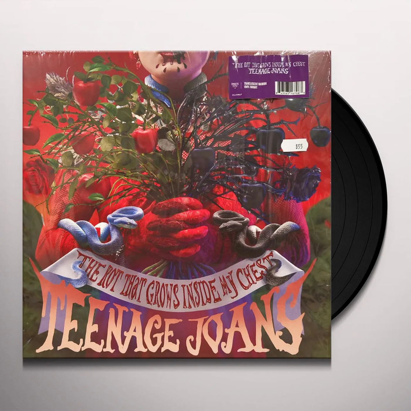 Teenage Joans ROT THAT GROWS INSIDE MY CHEST Vinyl Record
