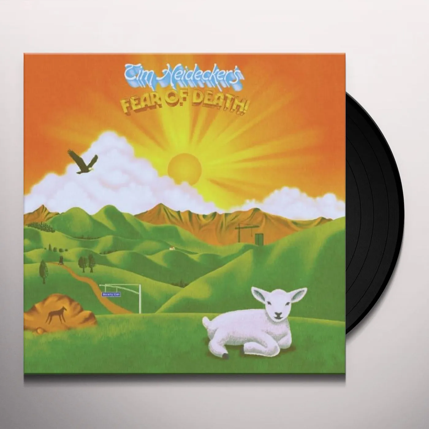 Tim Heidecker FEAR OF DEATH CD