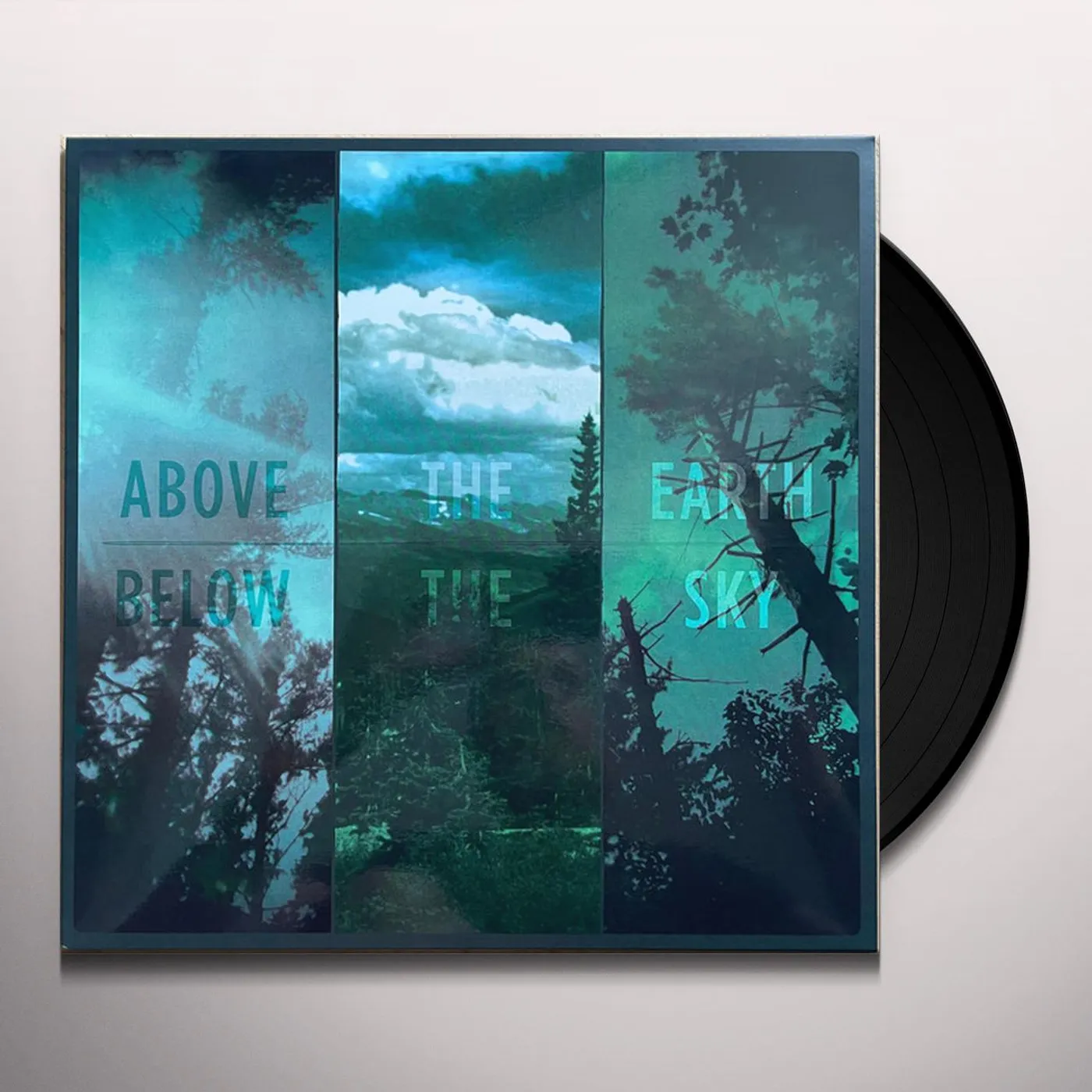 If These Trees Could Talk ABOVE THE EARTH BELOW THE SKY Vinyl Record