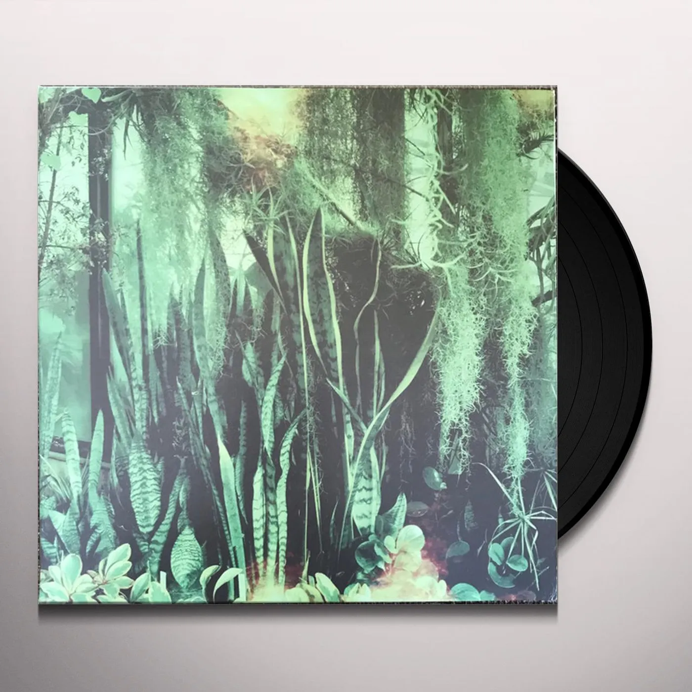 The Promise Ring Wood/Water Vinyl Record