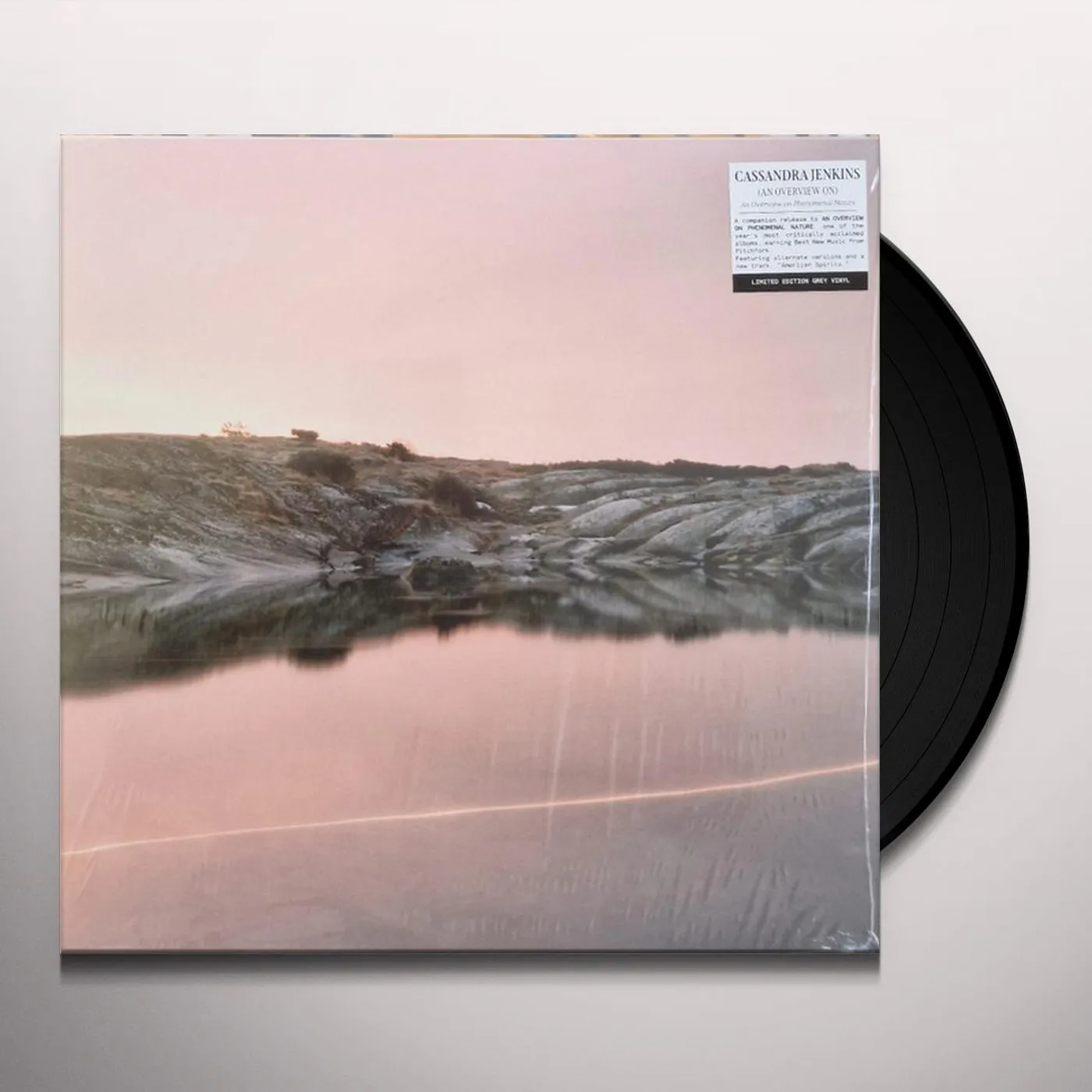 Cassandra Jenkins (An Overview On) An Overview On Phenomenal Nature Vinyl Record