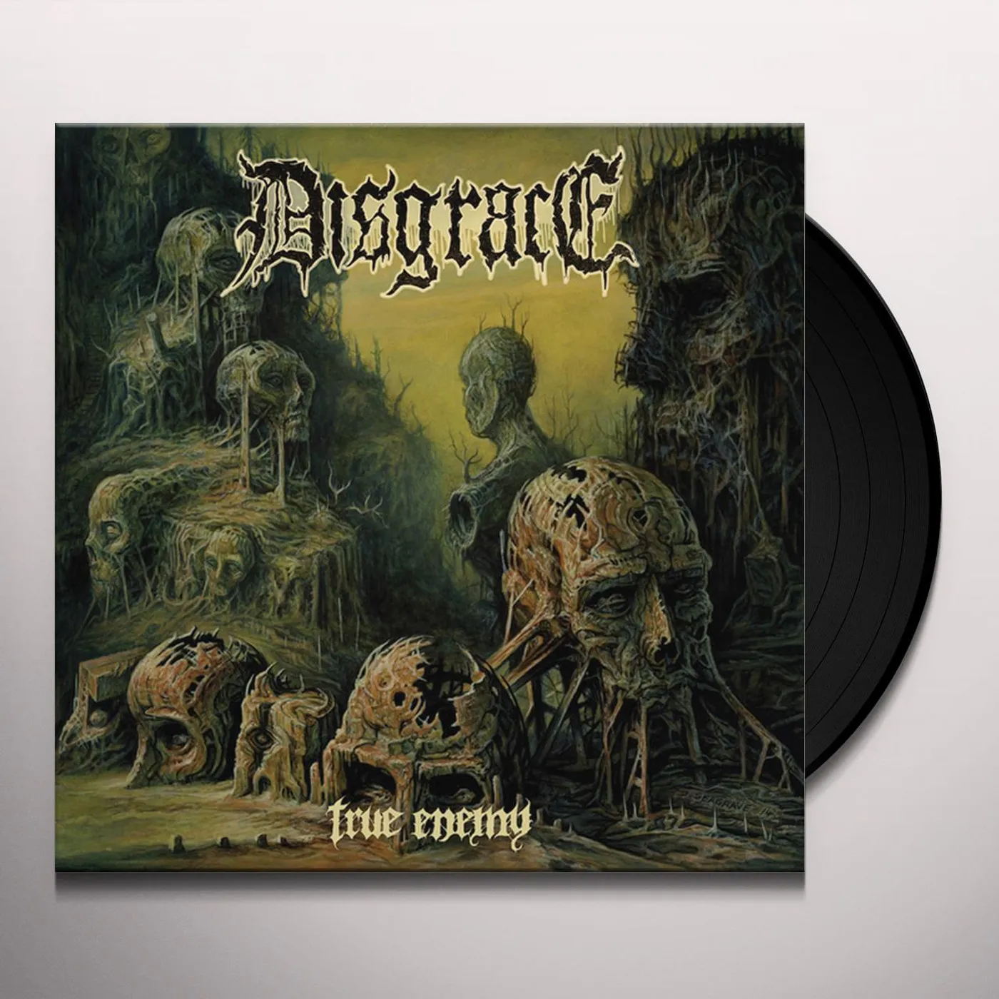 Disgrace TRUE ENEMY Vinyl Record