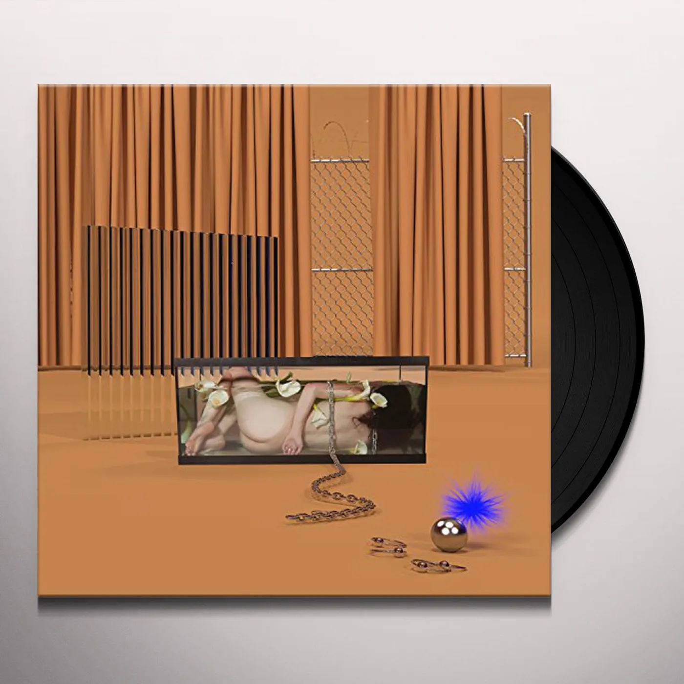 FRIGS Basic Behaviour Vinyl Record