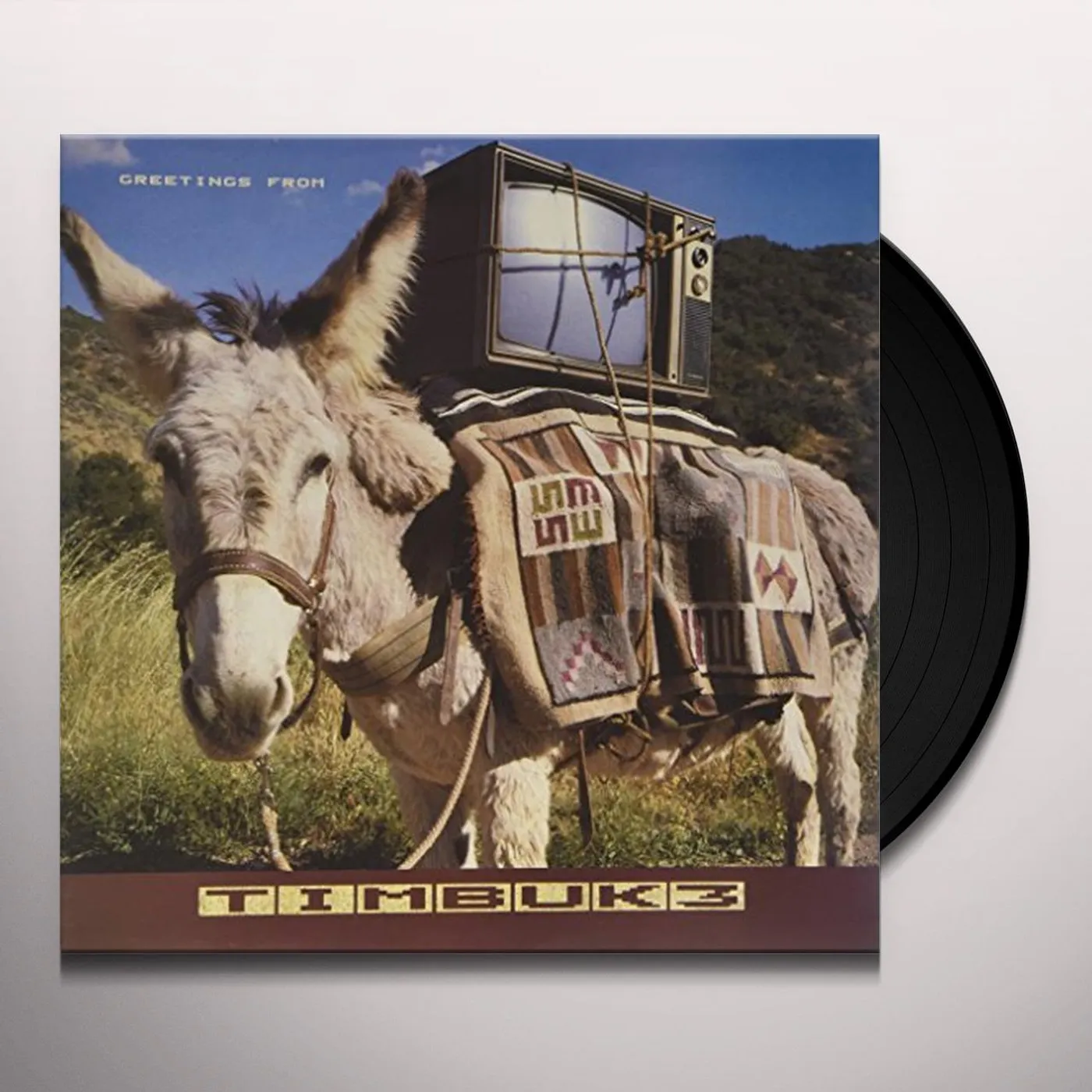 Timbuk 3 GREETINGS FROM Vinyl Record