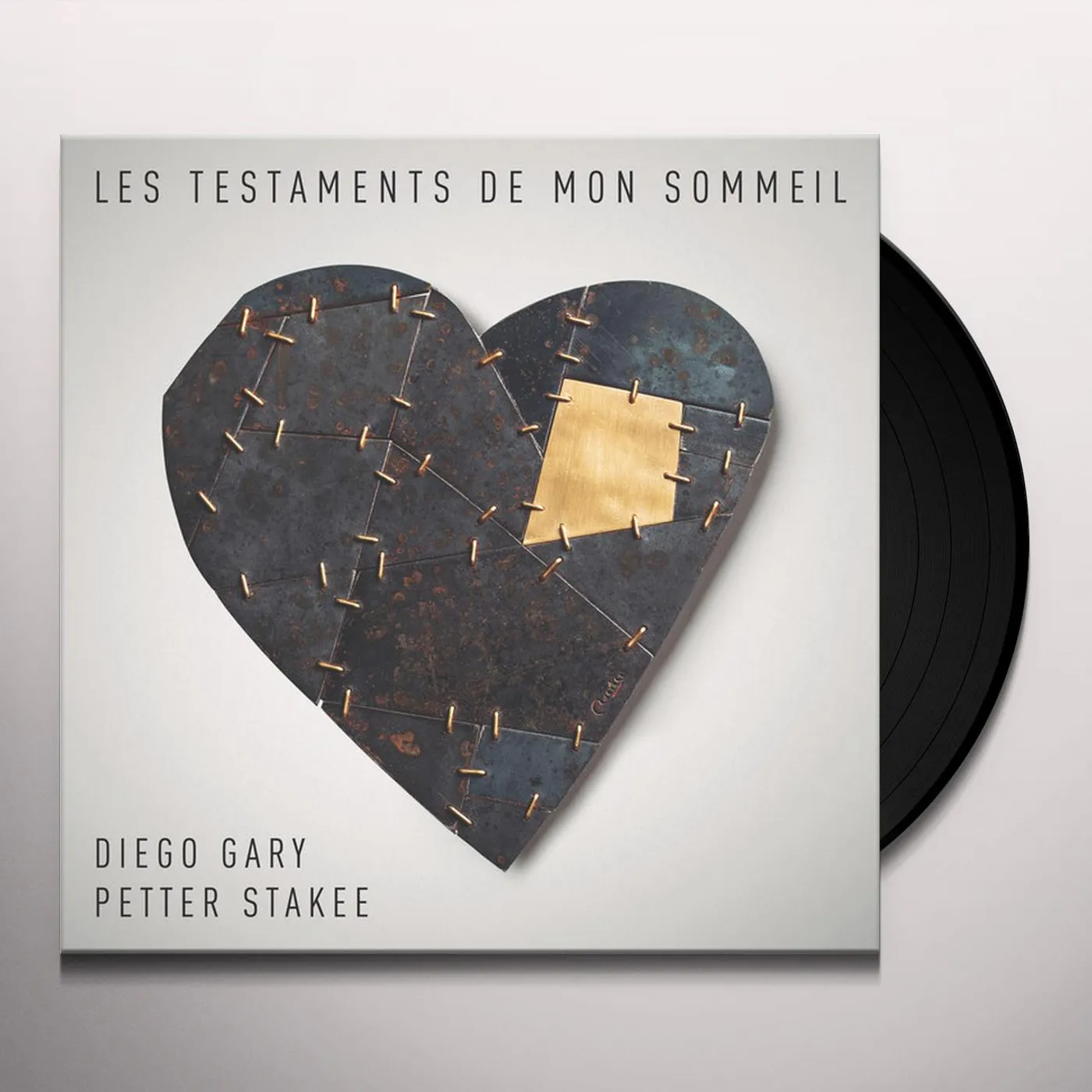 DIEGO GARY & PETTER STAKEE Les Testaments De Mon Sommeil Vinyl Record