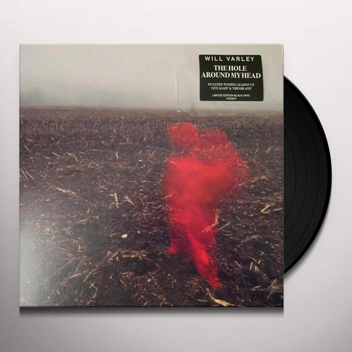 Will Varley HOLE AROUND MY HEAD Vinyl Record