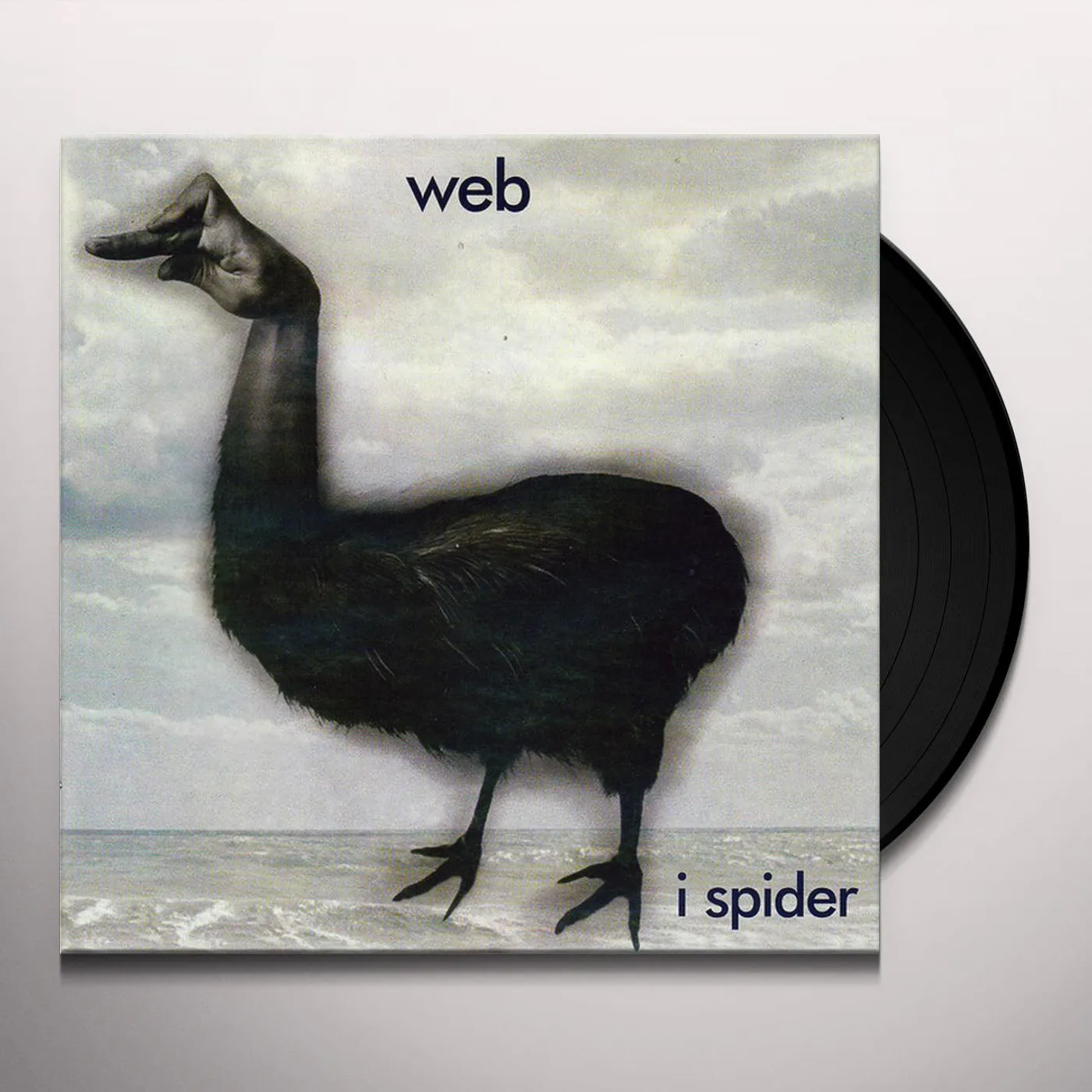 Web I Spider Vinyl Record