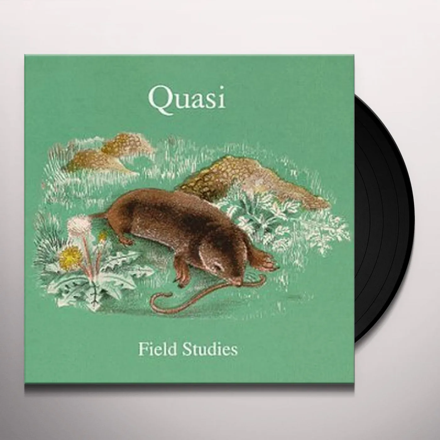 Quasi Field Studies Vinyl Record
