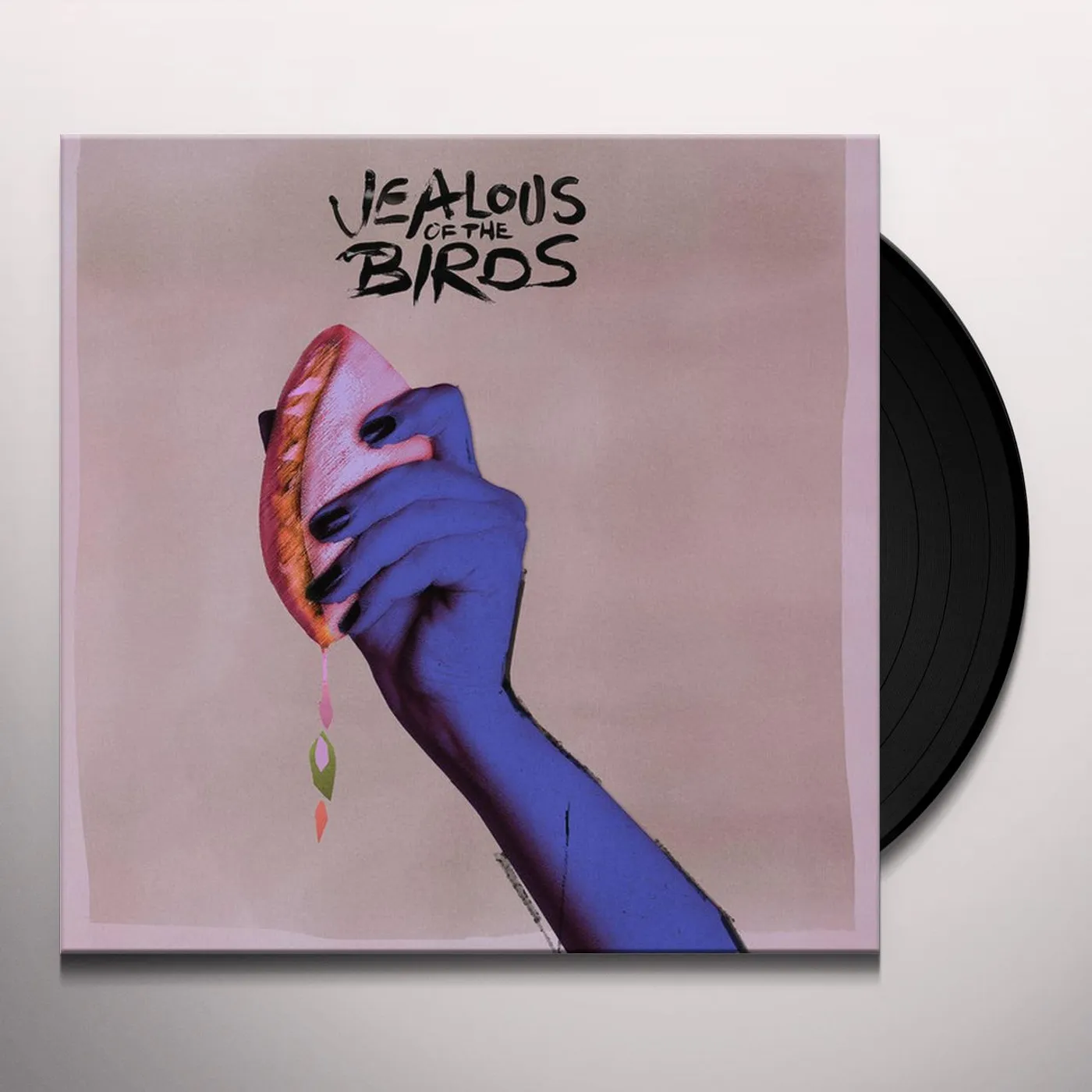 Jealous of the Birds MOTHS OF WHAT I WANT WILL EAT ME IN MY SLEEP Vinyl Record