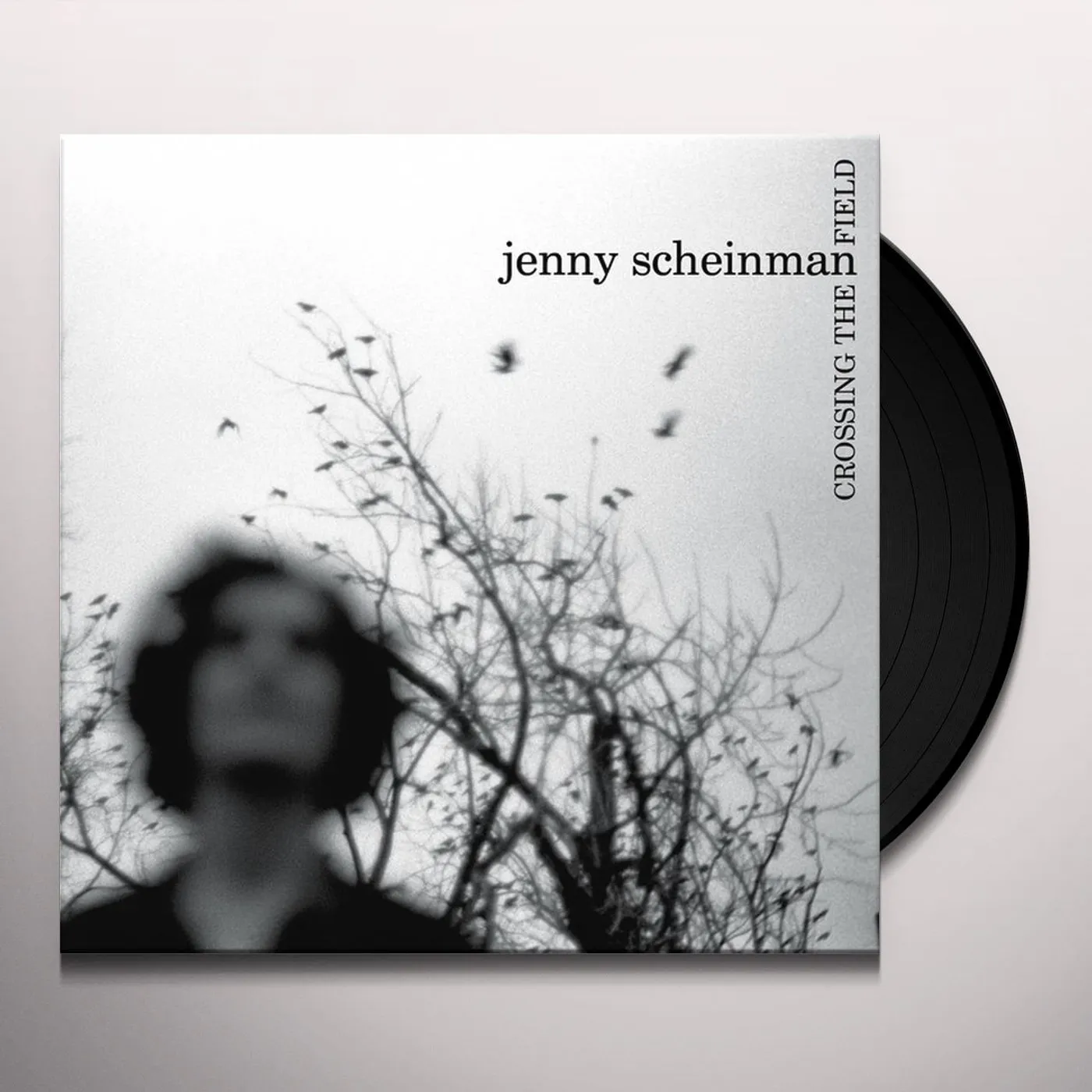 Jenny Scheinman Crossing The Field Vinyl Record