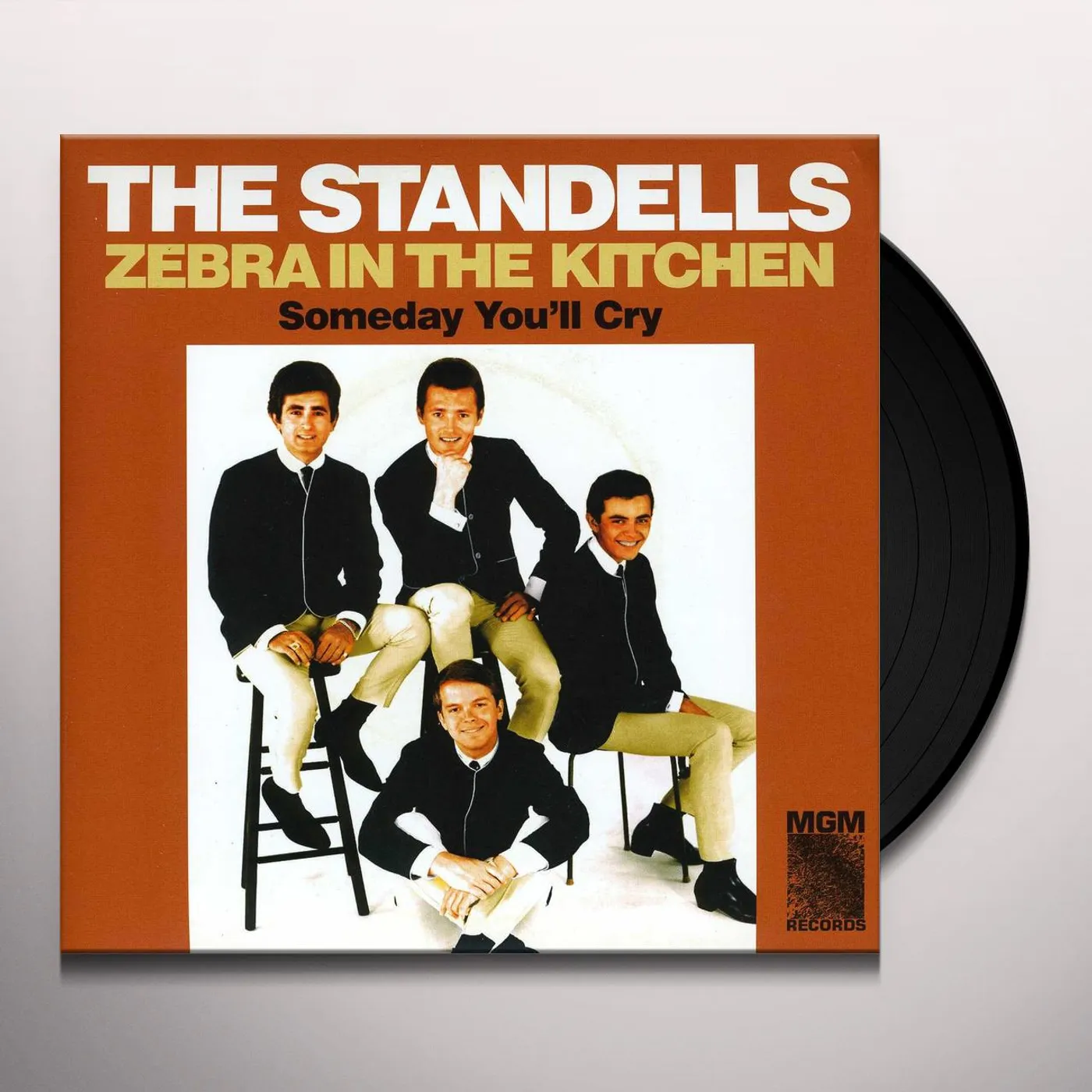 The Standells ZEBRA IN THE KITCHEN / SOMEDAY YOU'LL CRY Vinyl Record