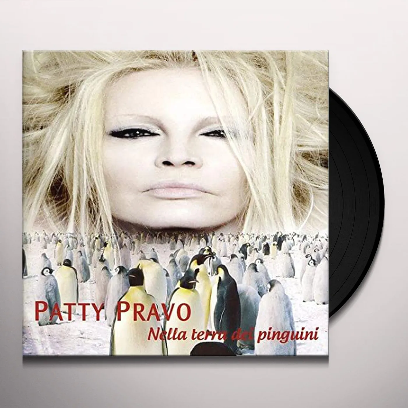 Patty Pravo Nella terra dei pinguini Vinyl Record