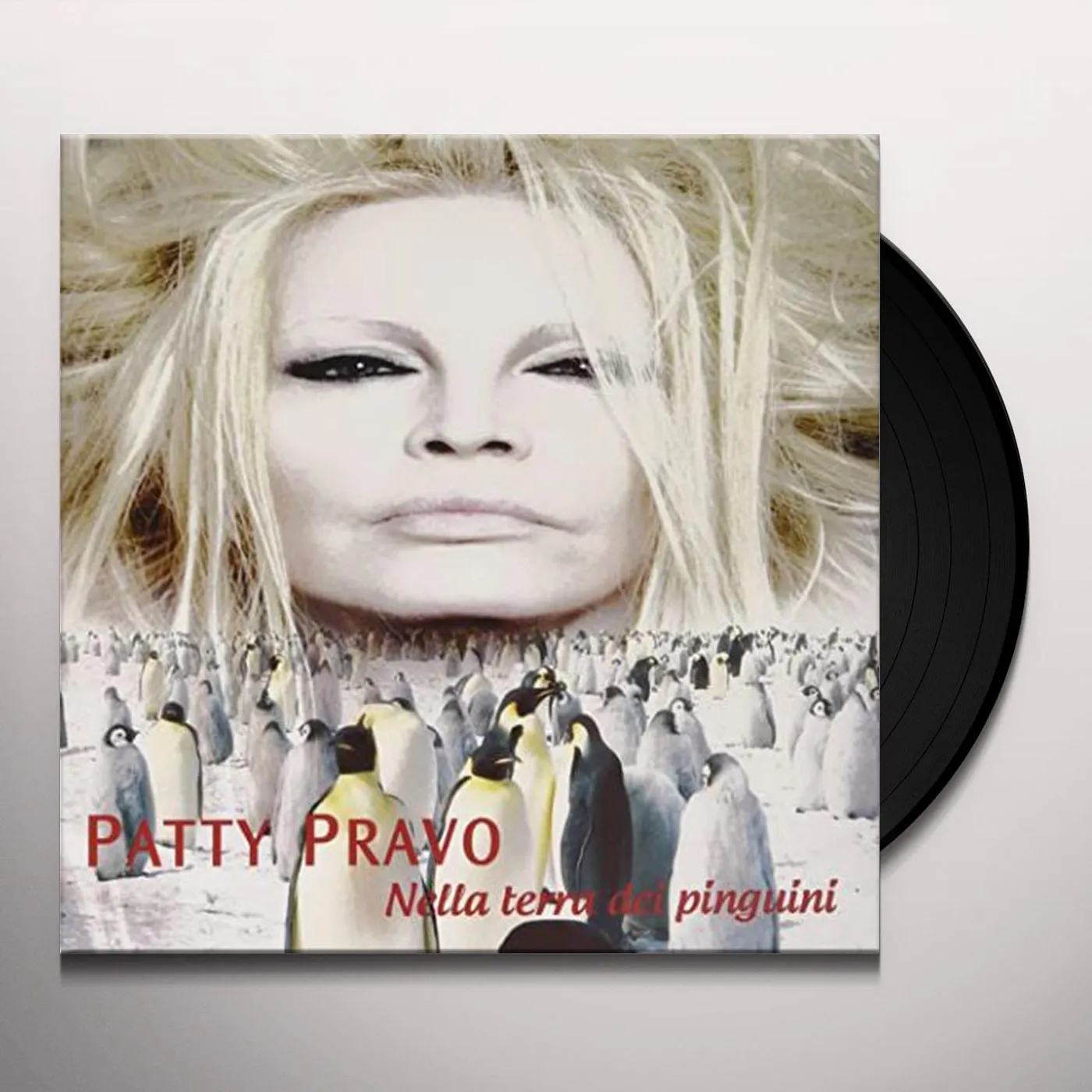 Patty Pravo Nella terra dei pinguini Vinyl Record