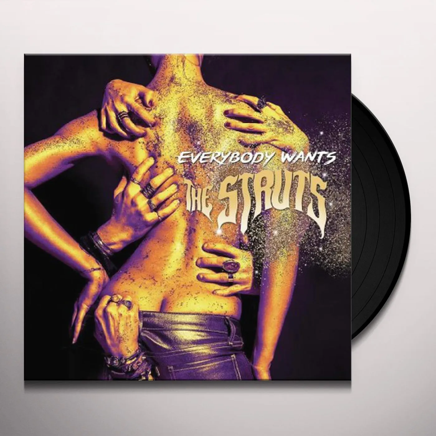 The Struts Everybody Wants Vinyl Record