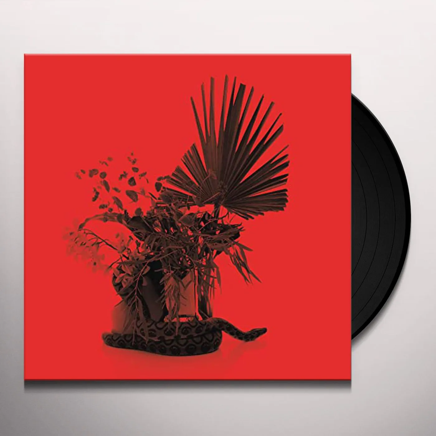 Noah Gundersen Selections From "White Noise" Live From KEXP 90.3 FM September 22 Vinyl Record