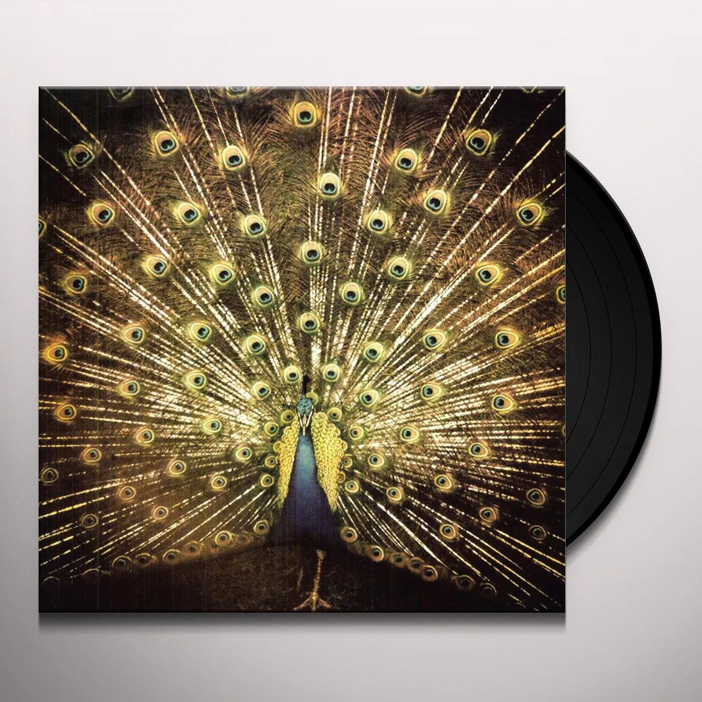 Ani DiFranco WHICH SIDE ARE YOU ON Vinyl Record