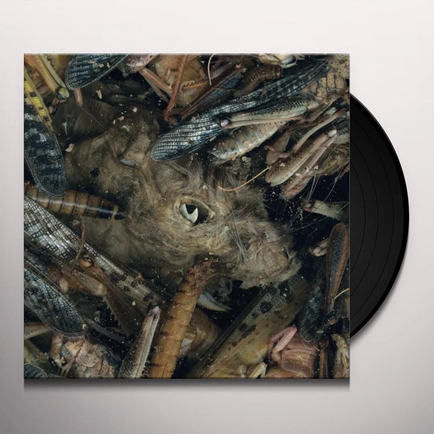 Hessian MANEGARMR Vinyl Record