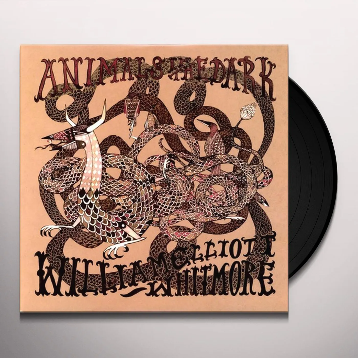 William Elliott Whitmore Animals In The Dark Vinyl Record