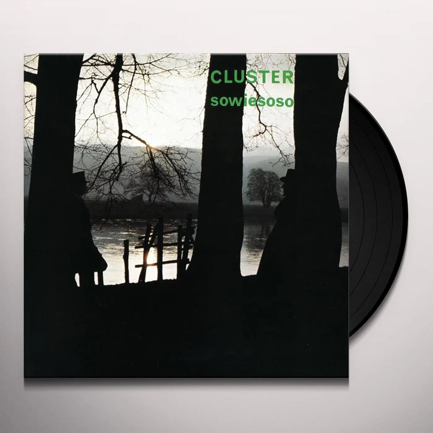 Cluster Sowiesoso Vinyl Record