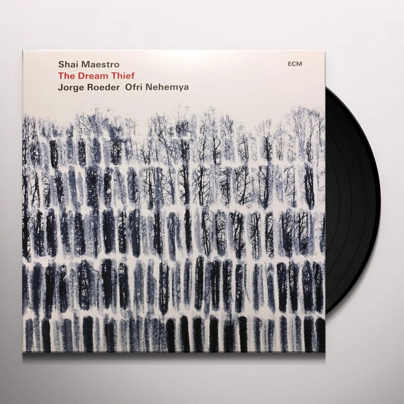 Shai Maestro DREAM THIEF Vinyl Record