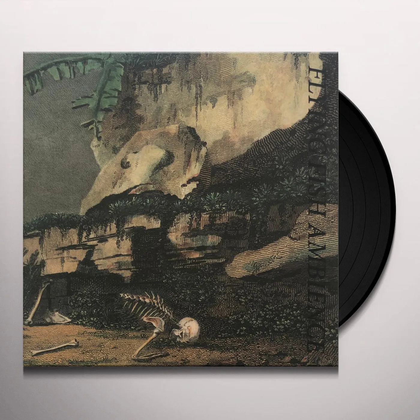 Rainforest Spiritual Enslavement Flying Fish Ambience Vinyl Record